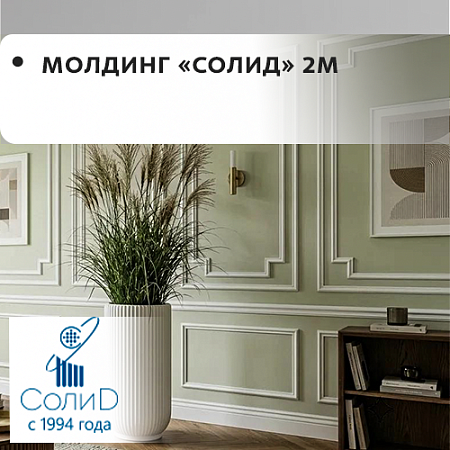 Молдинг "Солид" (2м)