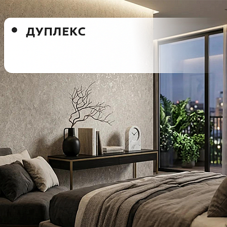 Дуплекс