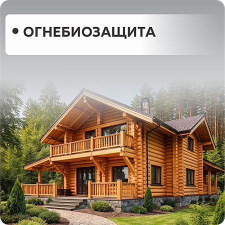 Огне-био защита
