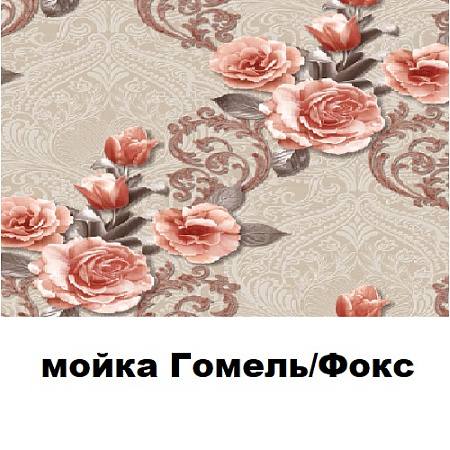 Мойка Гомель/ФОКС