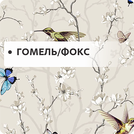 Гомель/Фокс
