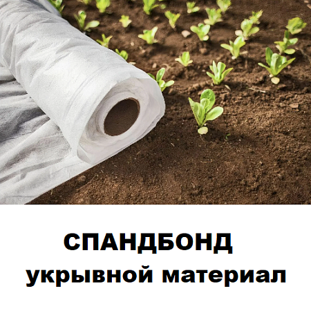 Спанбонд (укрывной материал)